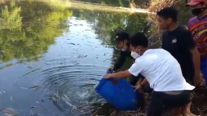 Hari Anak Nasional, Forum Desa Sukosari Tebar Benih Ikan di Sungai