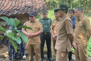 Strategi Pemkab Ngawi Selesaikan RTLH