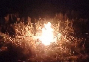 Sumur di Ngawi Mengeluarkan Semburan Api