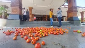 Harga Tomat Terpuruk, Pemkab Madiun Turun Tangan