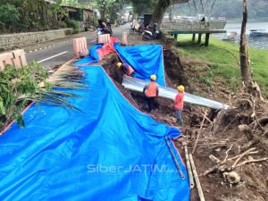 Pohon Tumbang di Telaga Ngebel Ponorogo, Responsif PJT DPUPKP Diapresiasi Warga