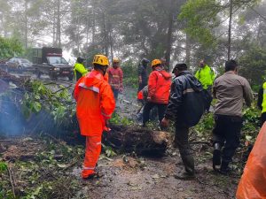 Sempat Tertutup Total, Akses Sarangan – Cemorosewu, Magetan Kembali Normal