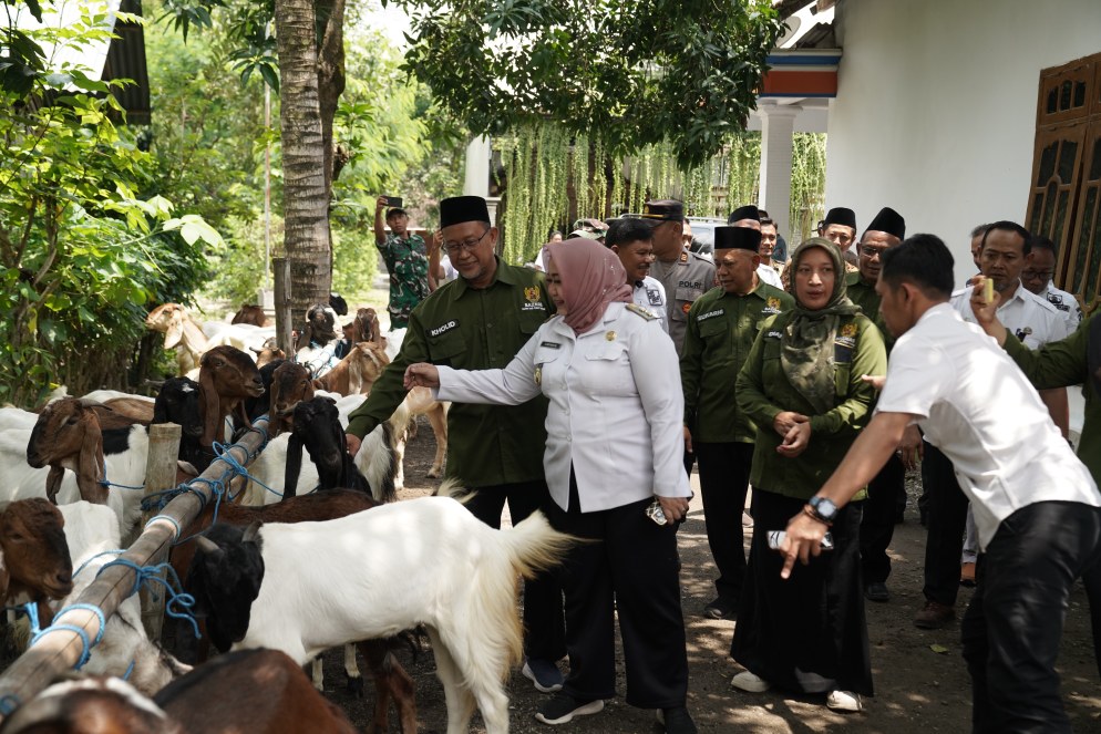 Tingkatkan Kualitas Hidup Masyarakat Ponorogo, Baznas Jawa Timur Berikan Bantuan