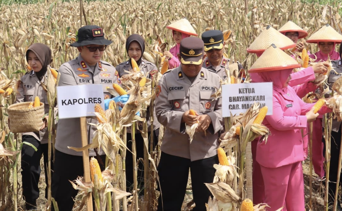 Dukung Ketapangnas Kapolres Magetan Panen Raya Jagung