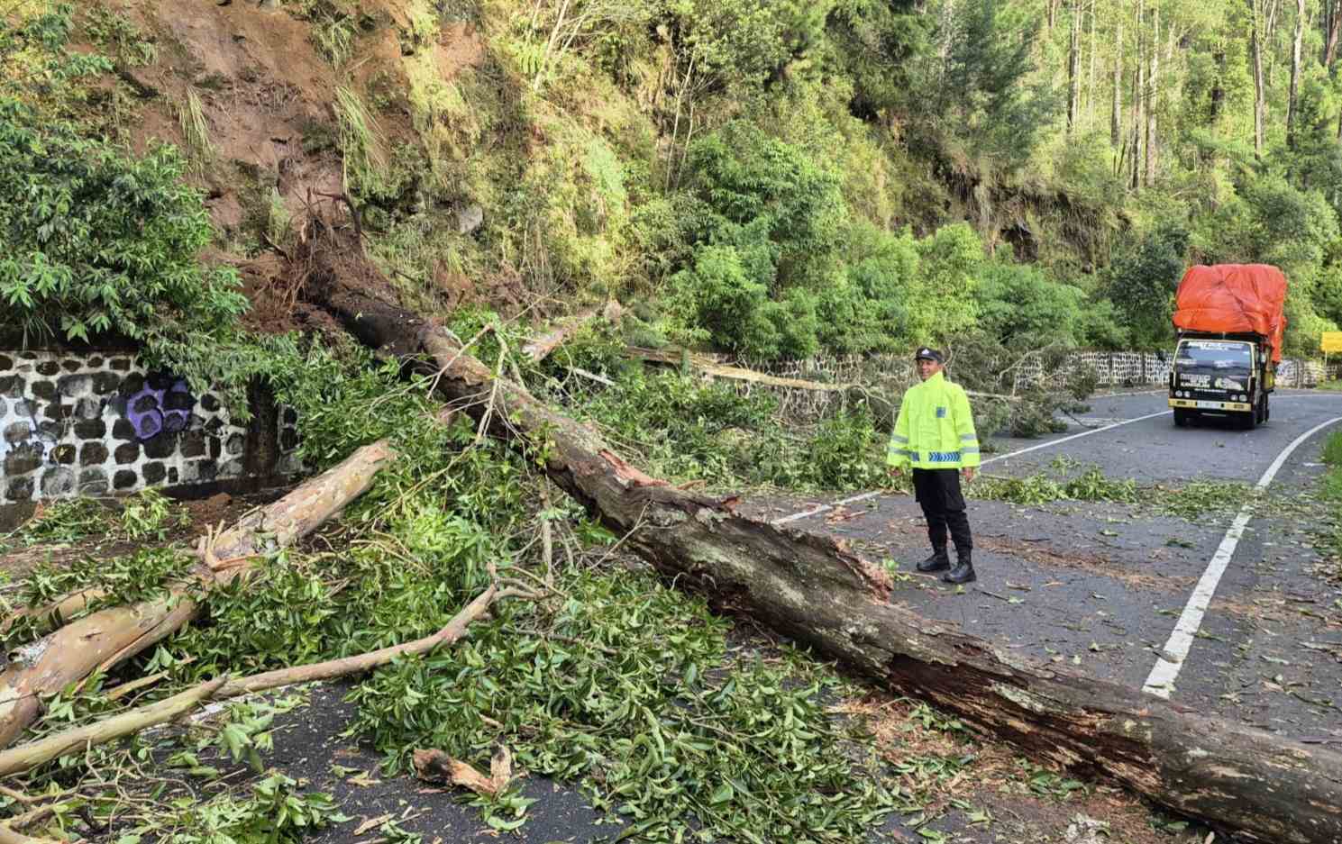 Pohon Tumbang, Tutup Jalan Cemorosewu-Sarangan Magetan