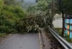 Longsor Tebing Sisi Timur Telaga Ngebel Ponorogo, Tutup Akses Jalan