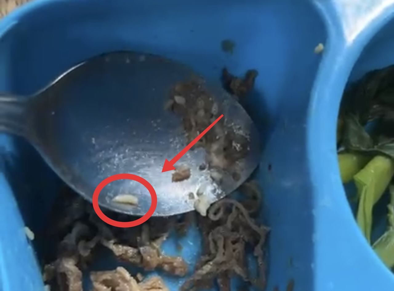 Lagi-lagi Menu MBG berulat, Kembali Terjadi di Ponorogo