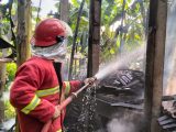 Satpol PP Damkar Ponorogo Gercep Padamkan Kebakaran di Sambit
